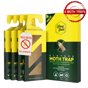 Clothes & Carpet Pheromone Moth Trap (Pack of 4) – Nonny Beach